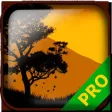 PRO - Dust An Elysian Tail Game Version Guide
