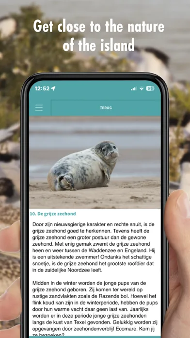 ภาพหน้าจอของ ByAR Texel