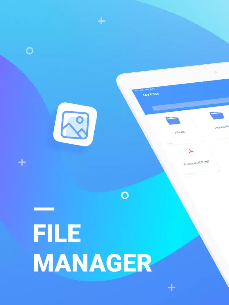 File Organizer - Documents EX iPad 应用截图