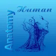 Human Anatomy 2017
