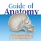 Anatomy Guide (Pocket Book)