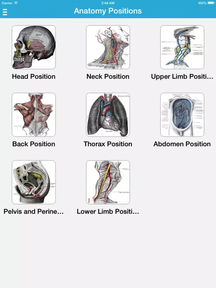 Gray's Anatomy 2014 iPad 應用截圖