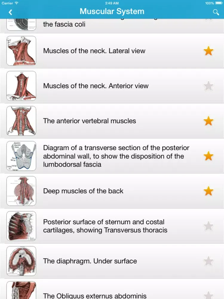 Gray's Anatomy 2014 iPad 應用截圖