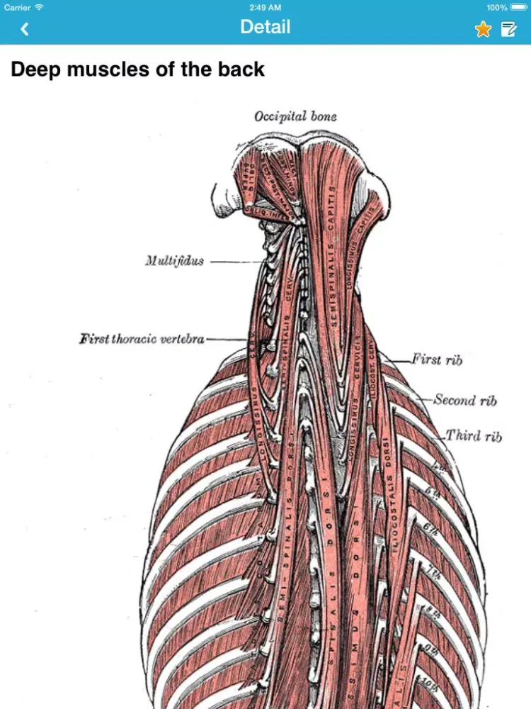 Gray's Anatomy 2014 iPad 應用截圖