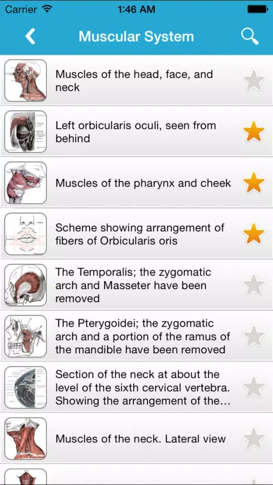 Gray's Anatomy 2014應用截圖