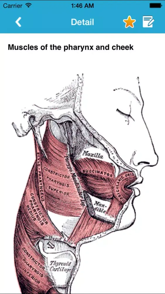 Gray's Anatomy 2014應用截圖