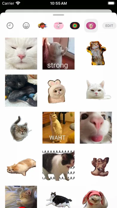 Tangkapan layar Cute Cat Meme 3