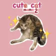 Cute Cat Meme 2 Cute Cat Meme 2