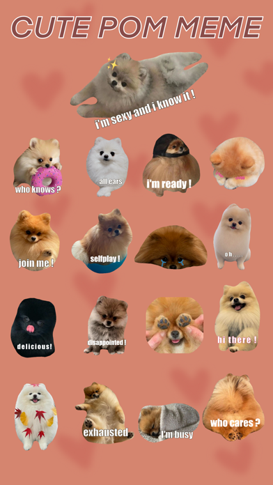Zrzuty ekranu Cute Pom Meme
