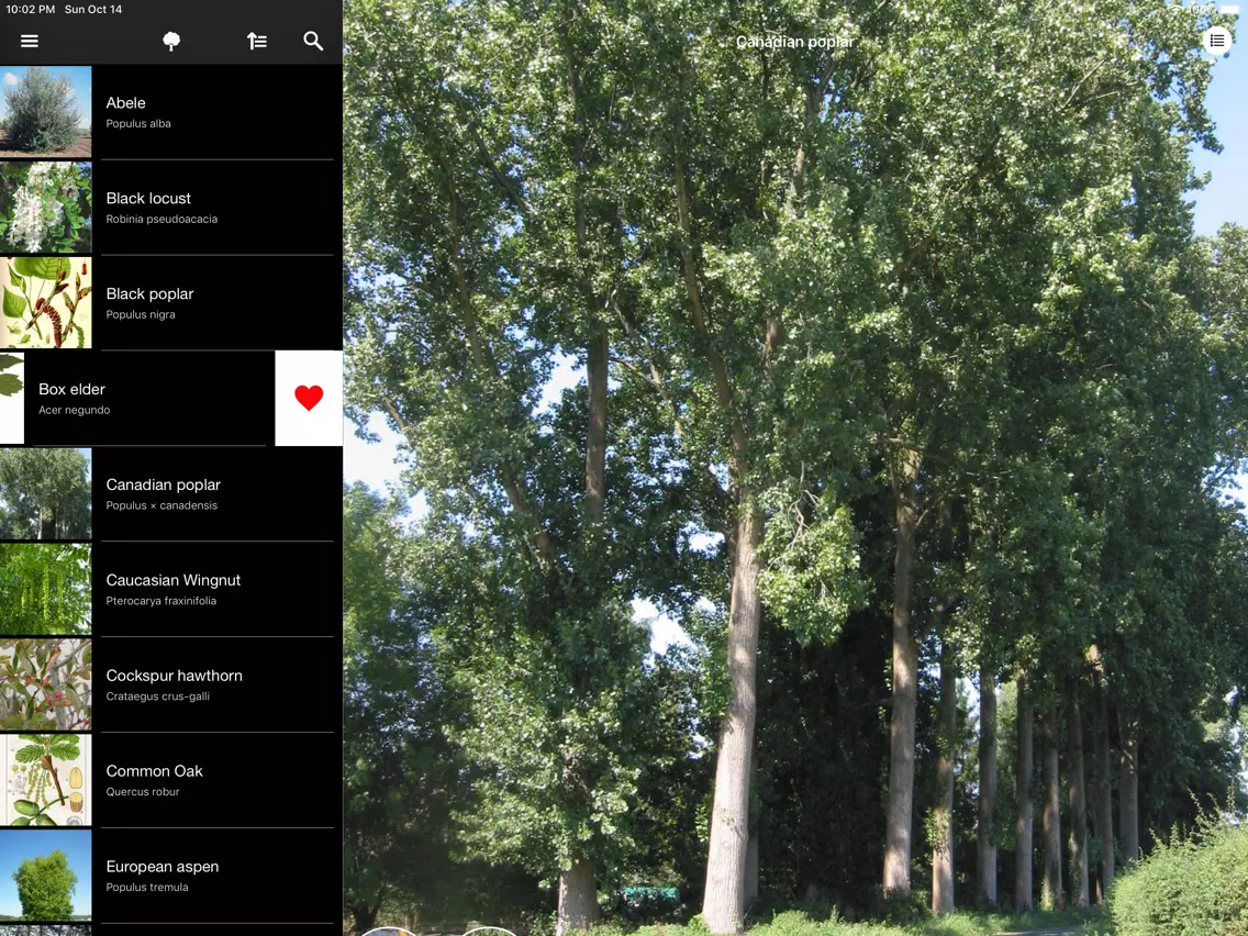 Screenshot di Trees 2.0 iPad 