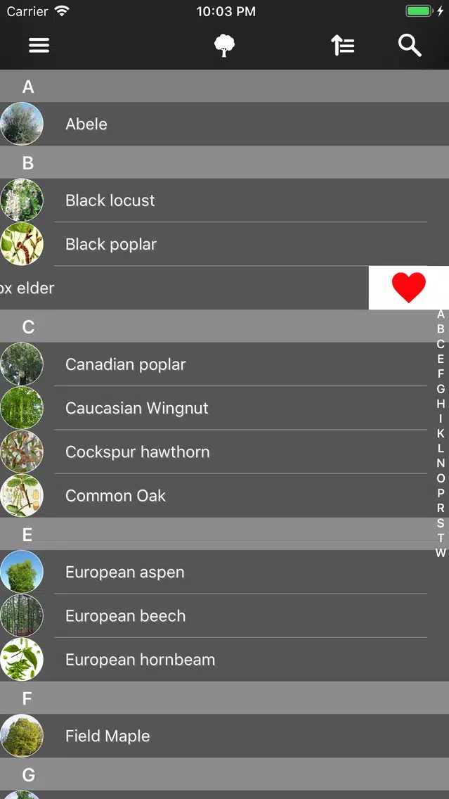 Screenshot di Trees 2.0