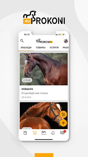 Prokoni.ru应用截图