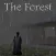 Slendrina: The Forest - It's Rainy