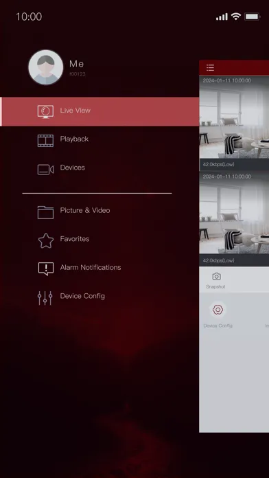DVS-View Screenshots
