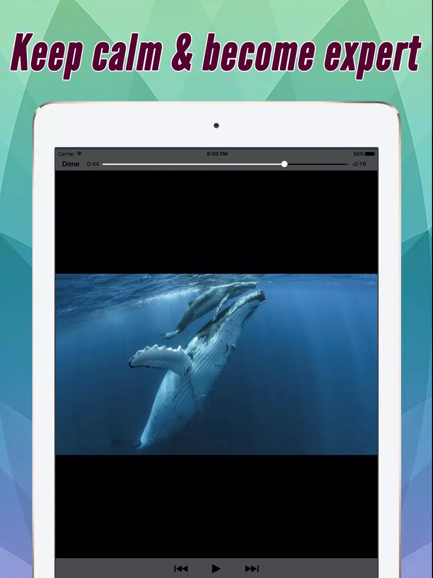 Tangkapan layar Videos Training For EOS 5DS And 5DS R Pro iPad 