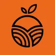 Frutas Dylan