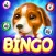 Bingo Dog - Fun Game 2024