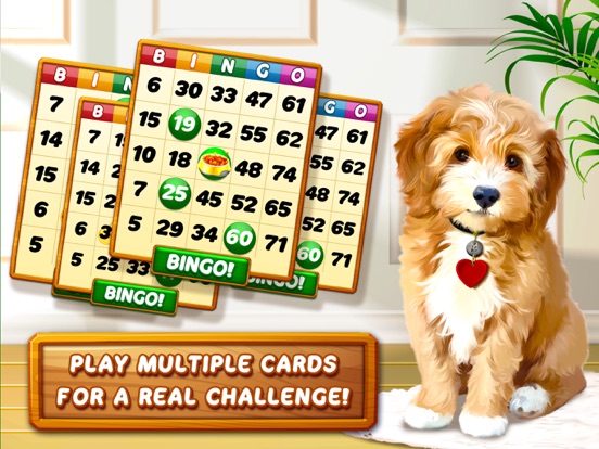 Bingo Dog - Fun Game 2024 iPad  Screenshots