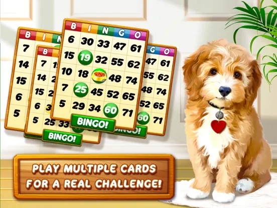 Captures d'écran de Bingo Dog - Fun Game 2024 iPad 