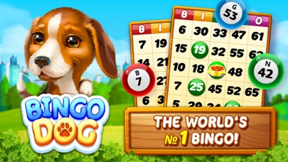 Bingo Dog - Fun Game 2024 Screenshots
