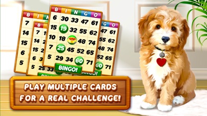 Bingo Dog - Fun Game 2024 Screenshots