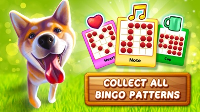 Bingo Dog - Fun Game 2024 Screenshots