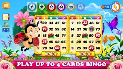 ภาพหน้าจอของ BINGO Mothers Day Holiday 2024
