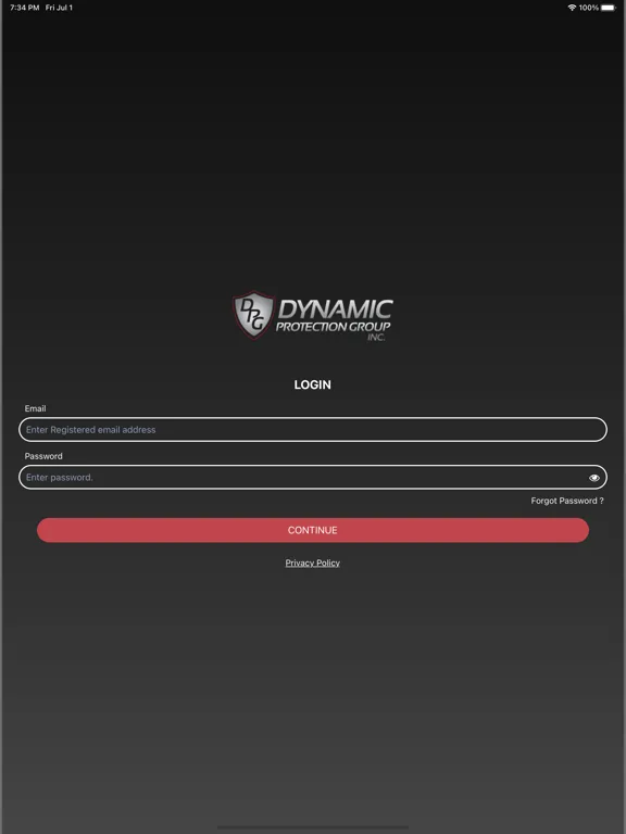 Zrzuty ekranu Overwatch-DPG iPad 