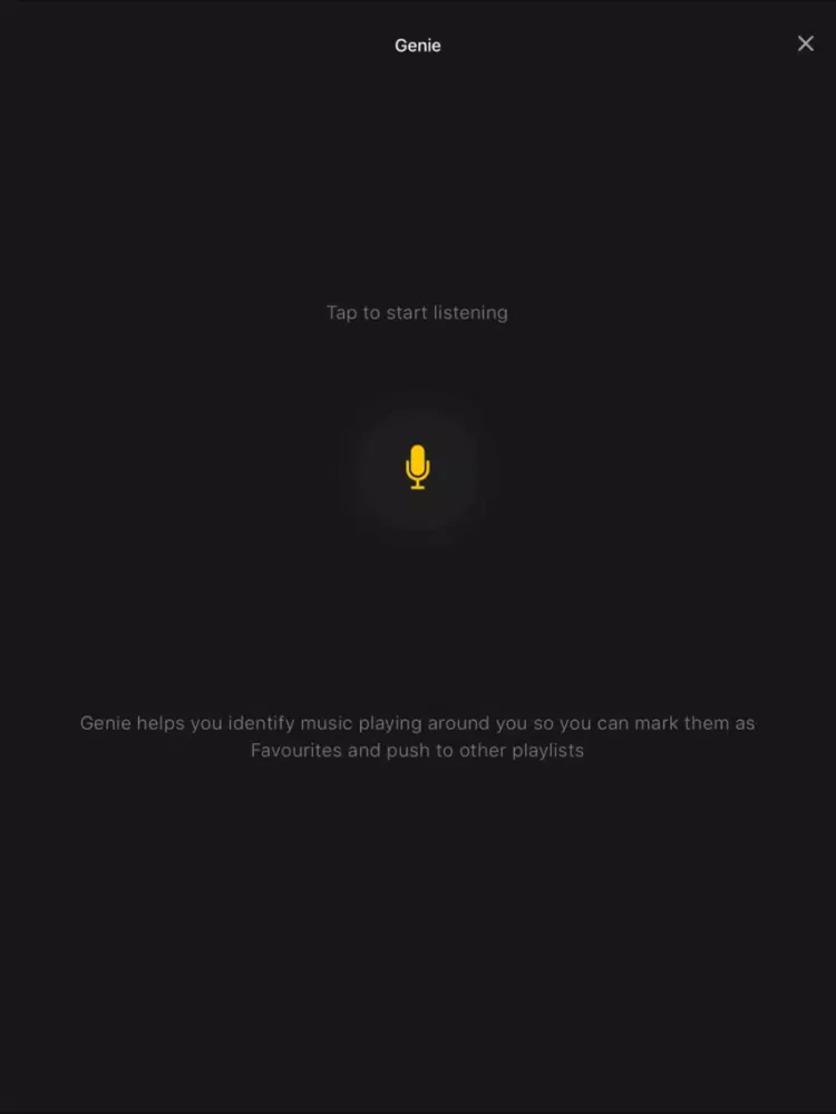 Amplifi Music iPad  Screenshots