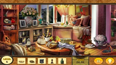 Mystery of The HIDDEN OBJECTS Screenshots