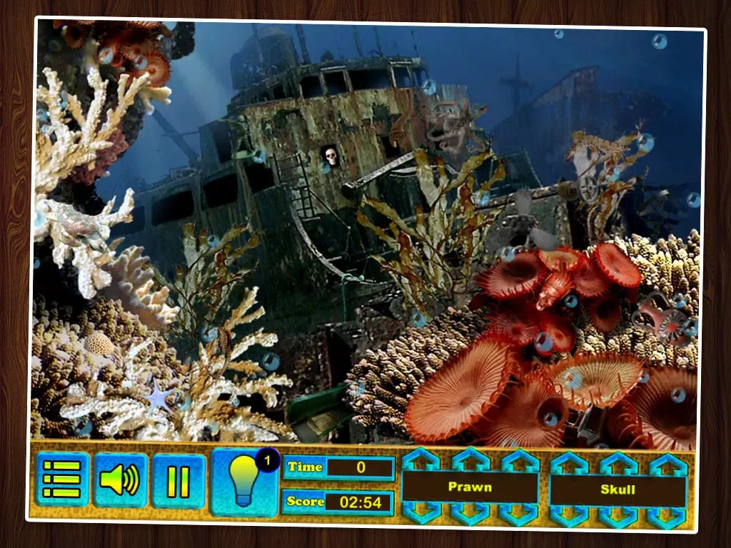 Hidden Object,Hidden Objects,Under Water Mystery,Case solved,Kids Game,Puzzle,Aquarium With Game iPad  Ekran Görüntüleri