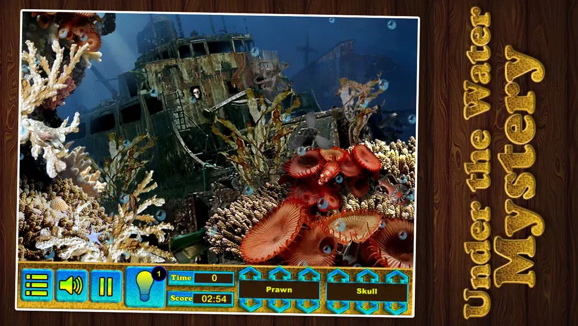 Hidden Object,Hidden Objects,Under Water Mystery,Case solved,Kids Game,Puzzle,Aquarium With Game Ekran Görüntüleri