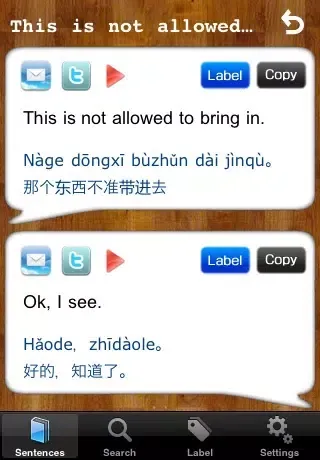ภาพหน้าจอของ 300 Useful Chinese Sentences!