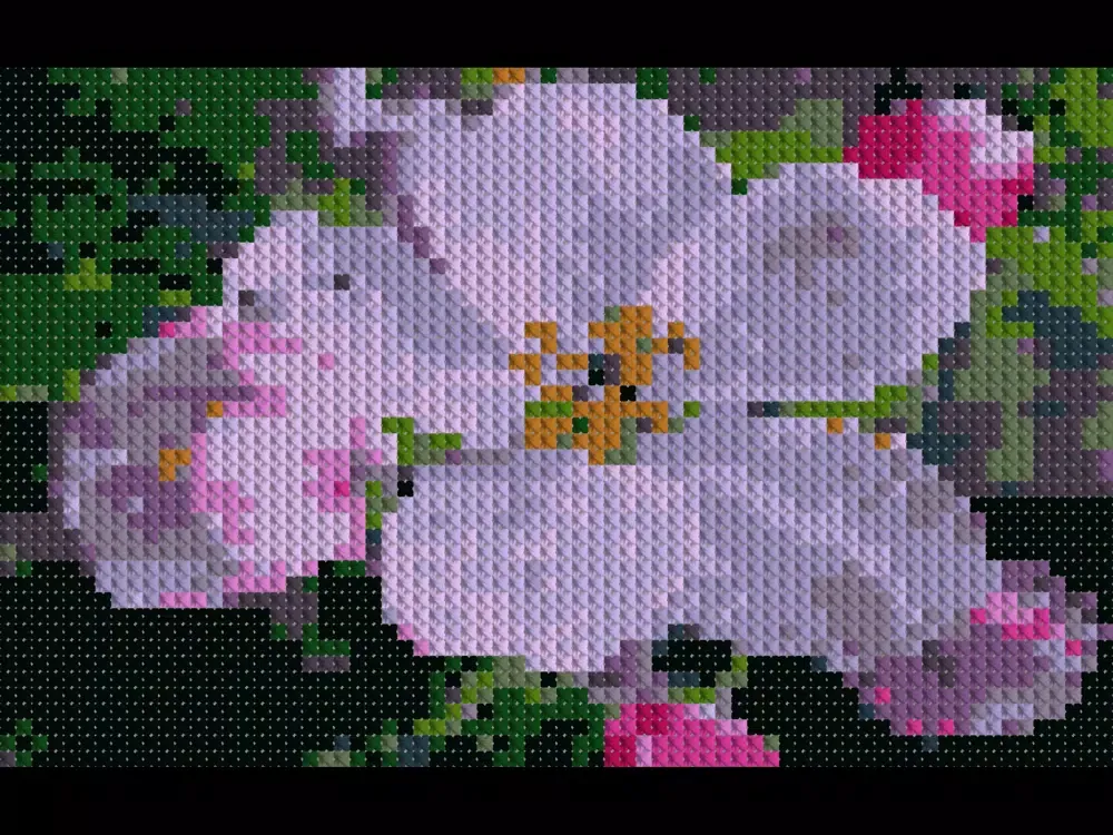 Cross Stitching Flowers iPad 应用截图