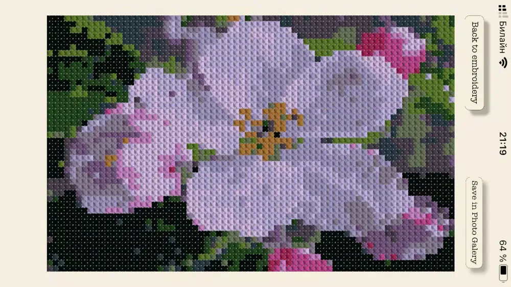 Cross Stitching Flowers应用截图