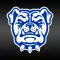 TWU Bulldogs