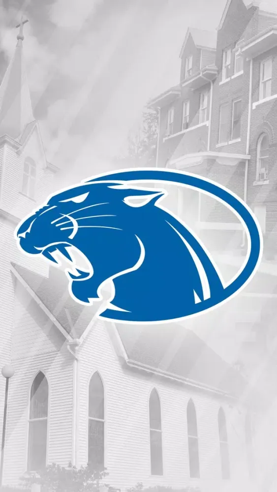 York College Athletics Ekran Görüntüleri