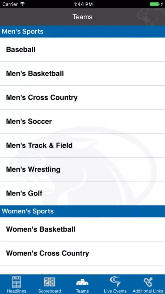 York College Athletics Ekran Görüntüleri