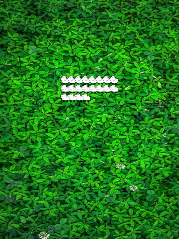 Count the Sheeps iPad  Screenshots