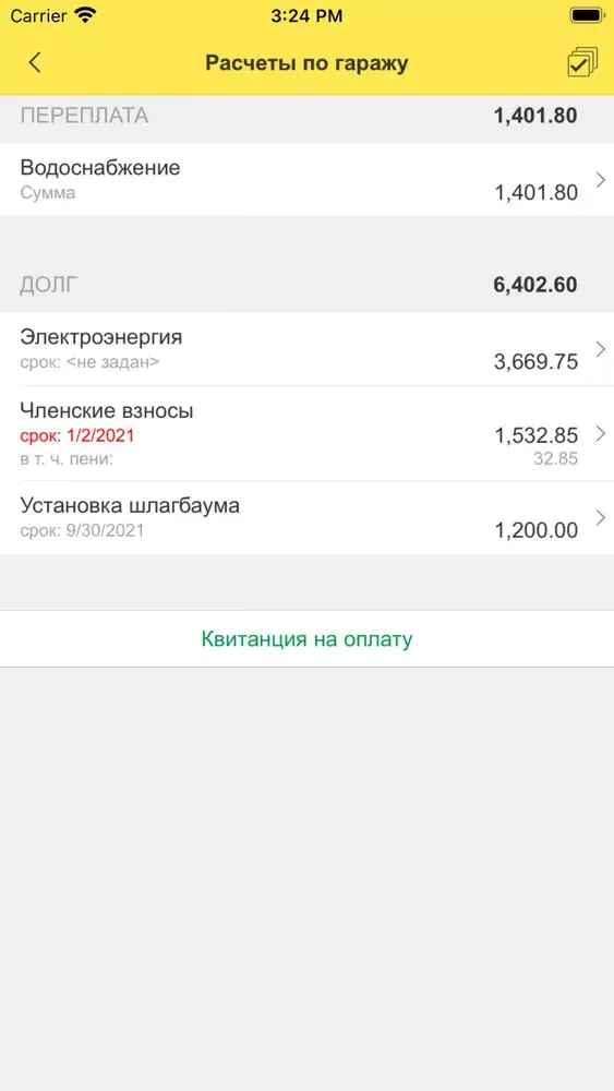 Ảnh chụp màn hình của 1С:Гаражи. Руководство ГСК