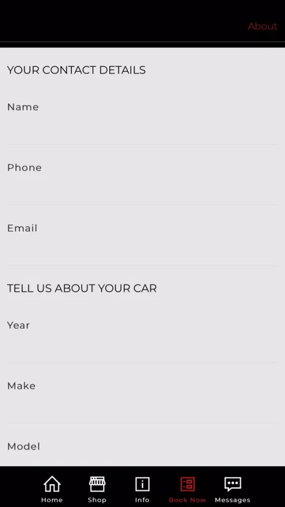 Reflect AutoDetaileRS Screenshots
