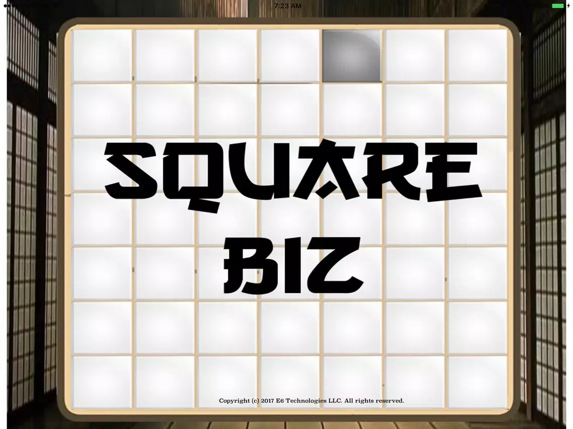 Square Biz iPad  Ekran Görüntüleri