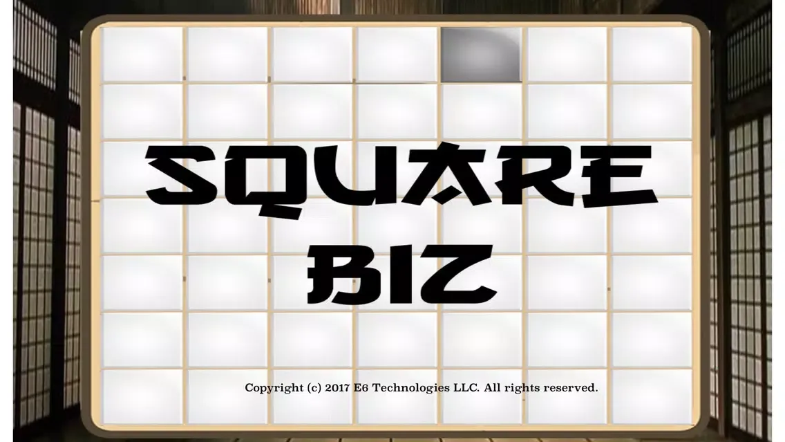 Square Biz Ekran Görüntüleri