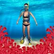 Diver Sim