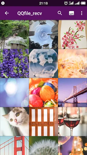 Smart Gallery Pro - Quick Pic Screenshots
