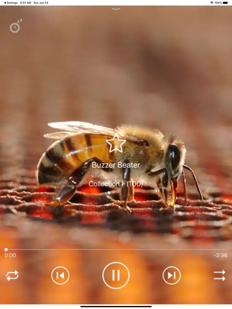 ภาพหน้าจอของ Guitar Music Collections iPad 