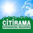 Cincinnati CiTiRAMA Cincinnati CiTiRAMA