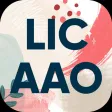 LIC AAO Vocabulary & Practice LIC AAO Vocabulary & Practice