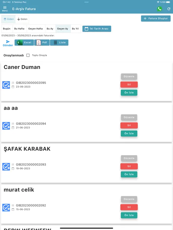 e arşiv fatura : hızlı pratik iPad 应用截图