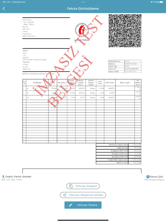 e arşiv fatura : hızlı pratik iPad 应用截图